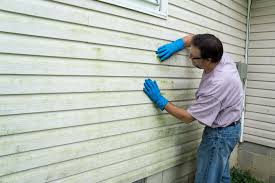 Affordable Siding Repair and Maintenance Services in Wortham, TX